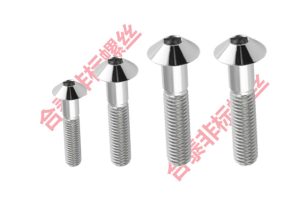 戶外市政工程電器設(shè)備不銹鋼傘頭鏡面螺絲